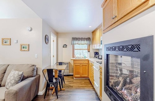 Eastern Vermont Cabin | Dog-friendly, mountain-view cabin with shared hot tub, fireplace, & central AC