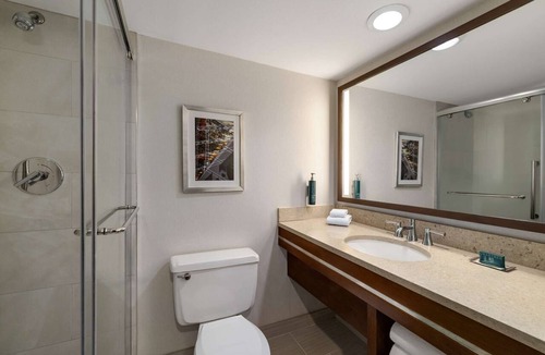 Green Tree Hotel | Easy Access To Downtown + Free Parking&Restaurant