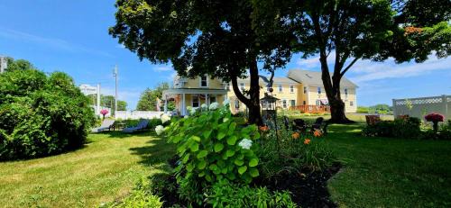 Wells Bed & Breakfast | Elmere House Bed & Breakfast