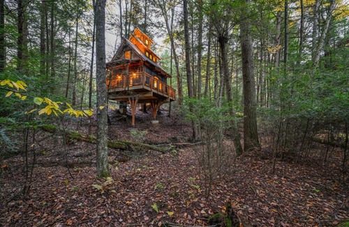 Coffeyville Other | Enchanted Evergreen