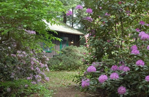 Moultonborough Cabin | Enjoy Beautiful Squam Lake From This Charming Cabin , Setting For On Golden Pond