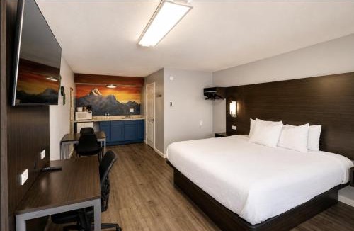 Henderson Hotel | Envi Boutique Hotel Henderson-Evansville South