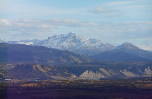 Healy Cabin | Experience true Alaska secluded Cabin just 15 miles from Denali National Park.