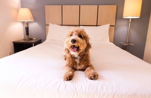 Braintree Hotel | Family Getaway | Spacious Haven Near New England Aquarium & Boston Harbor