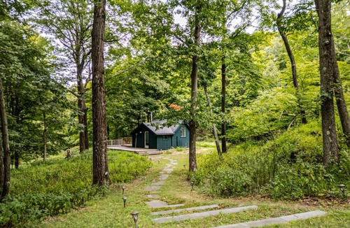 Hollowville Cabin | Forested Retreat | Pool | Pickle/Basketball Courts