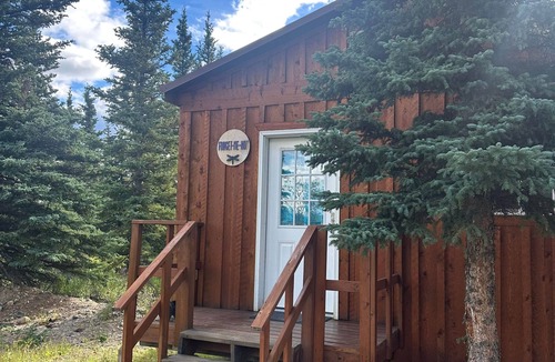Healy Cabin | Forget Me Not Cabin -Arctic Dragonfly Inn