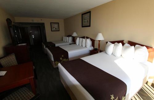 Dewey Beach Hotel | Gold Leaf Hotel of Dewey
