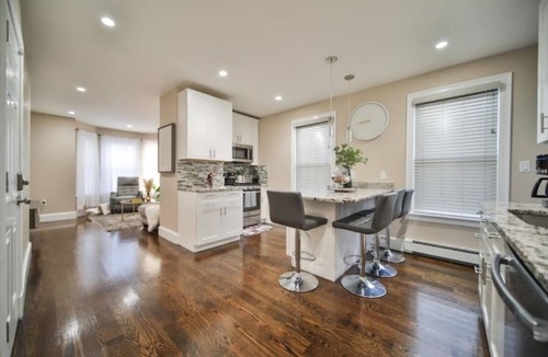 Dudley - Brunswick King Apartment | Hidden Gem 2 BR/1BA near Zoo 3 mil downtown Fenway