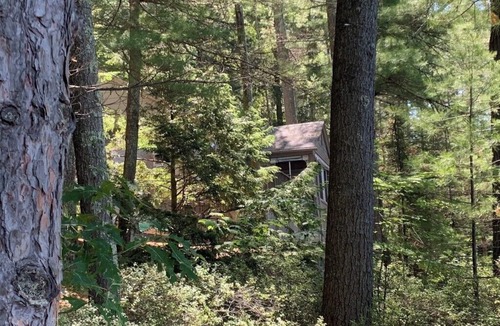 Melvin Village Cabin | Hidden Gem on Melvin Bay | Cozy Cabin Beneath the Trees