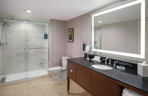 Rockville Hotel | Hilton Washington DC/Rockville Hotel & Executive Meeting Ctr