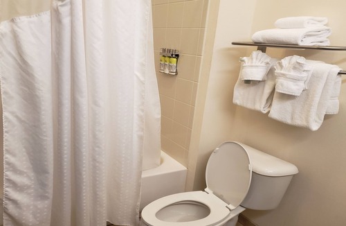 Cambridge Hotel | Holiday Inn Express & Suites Cambridge by IHG