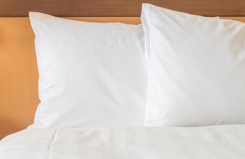 Bowling Green Hotel | Holiday Inn University Plaza-Bowling Green by IHG