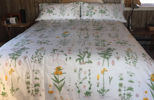 Homer Bed & Breakfast | Homer Stay and Play