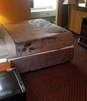 Stillwater Apartment | Hotel 2 Queens Hotel Room 107 Booking