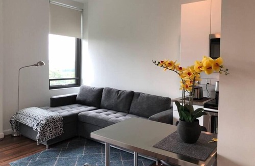 Mission Hill Apartment | Immaculately Clean, Comfy and Convenient Boston Location on Greenline!
