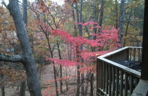 Mount Ida Condo | Judy's Condo in the Forest at Lake Ouachita