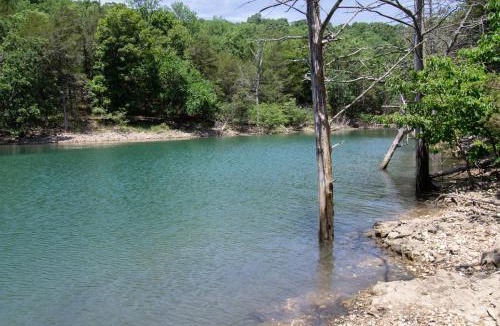 Lost Bridge Village House | Lakefnt-Hot TubSauna, Beaver Lk