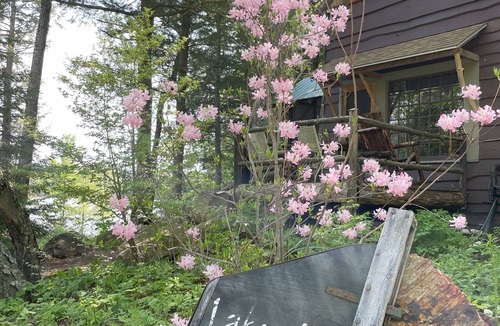 Pittsfield Cottage | Lakefront cottage on serene NH lake! Swim, kayak, fish, and enjoy nature.