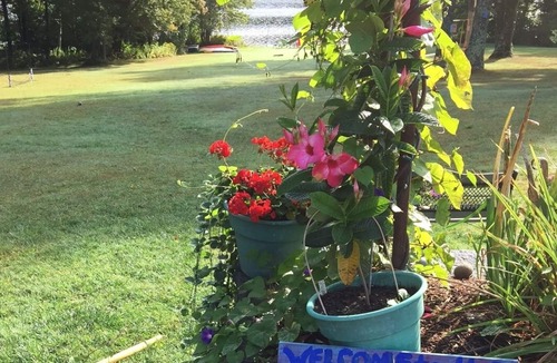 Goshen Cottage | Lakefront Summer Cottages~Sparkling clean social distancing space!