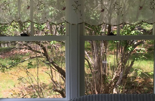 Bath Cottage | Lilac Cottage - Near Georgetown Island - Midcoast Maine