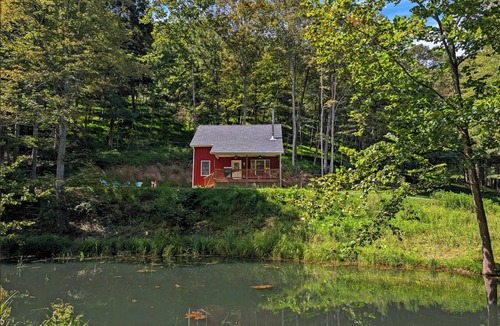Criders Cabin | Little Red Cabin on 60 Acres with private National Forest Access, pond, fire pit