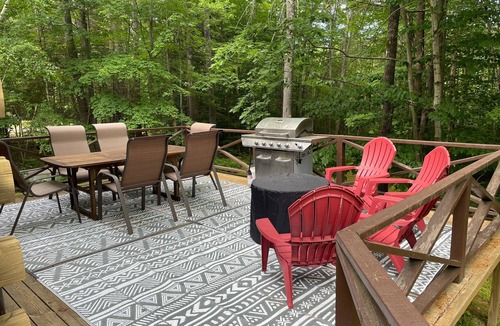 Bristol Cabin | Log Cabin 1.6 Miles from Newfound Lake! Pet Friendly! Sleeps up to 10