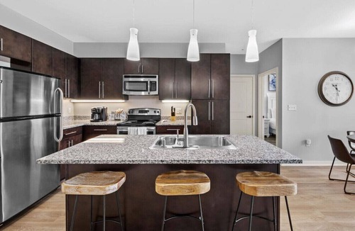 Rolling Mill Hill Condo | Luxurious Large 2 bed 2 bath Downtown Condo- #402
