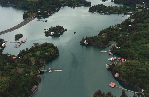 Halibut Cove Cabin | Luxury Cabin in Halibut Cove
