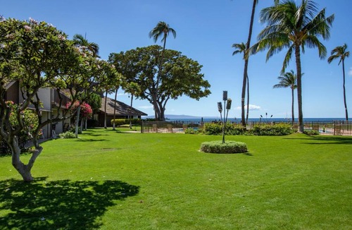 Kihei Apartment | Maalaea Surf Oceanfront 1 BR Sleeps 4 Sailors Surfers Paradise Complimentary Car with 6 Nights MSR-F2 by KBM