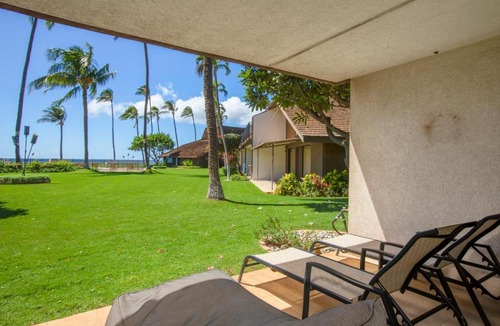 Kihei Apartment | Maalaea Surf Oceanfront 1 BR Sleeps 4 Sailors Surfers Paradise Complimentary Car with 6 Nights MSR-F2 by KBM