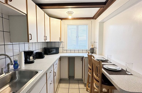 Orient Heights Apartment | Marvelous 1-bedroom studio East Boston