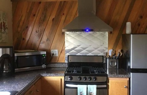 McKinley Park Apartment | McKinley Creekside Cabins & Cafe'-The Carlo Loft