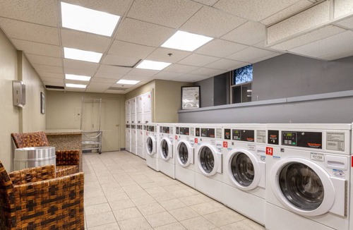 North Brookline Apartment | Modern Brookline 2BR w/ Elevator & Gym, near Green Line, by Blueground