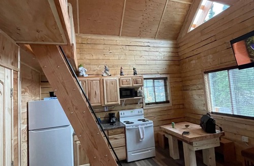 Healy Cabin | Moose Log Cabin Sleeps 6 near Denali National Park
