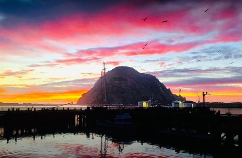 Morro Bay Hotel | Morro Bay Beach Inn - Morro Bay