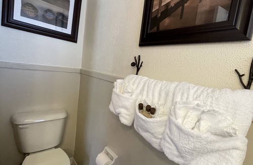 Mount Ida Hotel | Mountain Harbor Queen Guest Room on Lake Ouachita by RedAwning