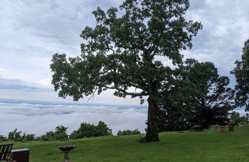 Dardanelle Cabin | Mountaintop Cabin - Bike Hike or R&R - Razorback Ridge at Mt. Nebo State Park