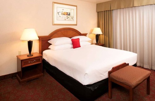 St. George Hotel | Nature Escape! Premium King | Outdoor Pool, Parking, Breakfast