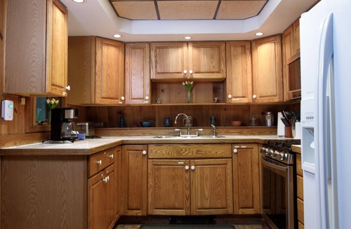 Rockwood Cabin | Nature Lover's Delight + Kitchen + Cozy Fireplace