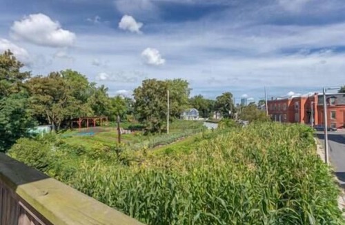 Dudley - Brunswick King Apartment | NEW! Boston Condo Near MBTA, 3 Mi to Fenway! (U2)