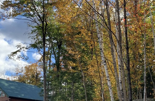 Alexandria Cabin | Newly built mountainside log cabin in Lakes Region . Newfound Lake nearby.