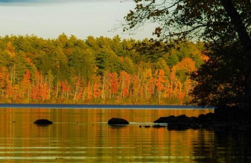 Farmington House | On Baxter Lake: Wooded Retreat Near Trails