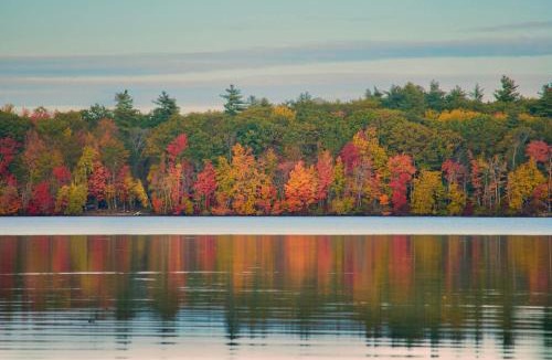 Farmington House | On Baxter Lake: Wooded Retreat Near Trails