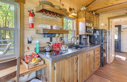 Martel Cabin | Outdoor Oasis w/Fire Pit & Dock: Galion Log Cabin