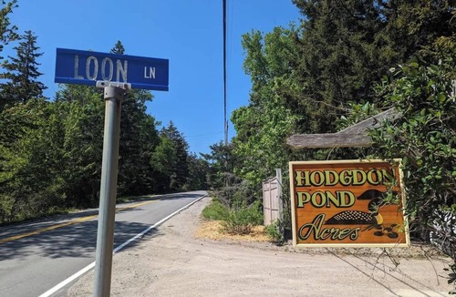 Seal Cove House | Peaceful Cottage on Hodgdon Pond