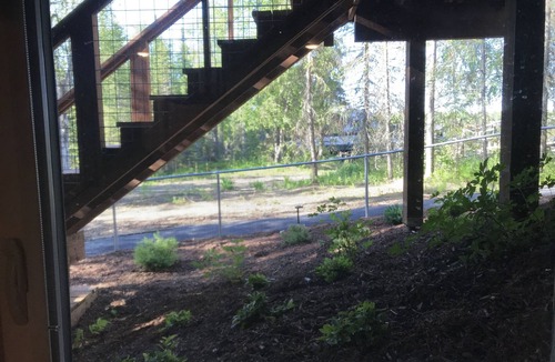 Kalifornsky House | Peaceful unit on beautiful wooded Lot. Minutes to Kenai, Soldotna & Kasiloff.