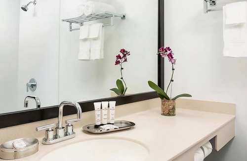 Lower Allston Hotel | Perfect Location! Pets Allowed, Parking, Near Boston College
