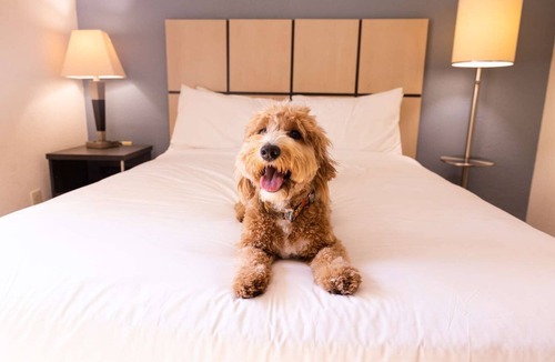 Central Oklahoma City Hotel | Pet-friendly Stay with Full Kitchen with Fitness Center