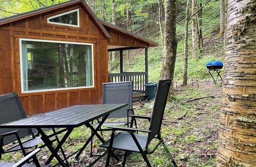 Dailey Cabin | Private Tiny Cabin & Mountain Hiking!