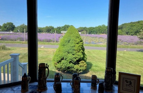 East Marion House | Quiet Oasis Near Greenport with Views of Lavendar Farm walk to Beach